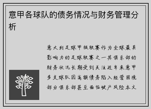 意甲各球队的债务情况与财务管理分析